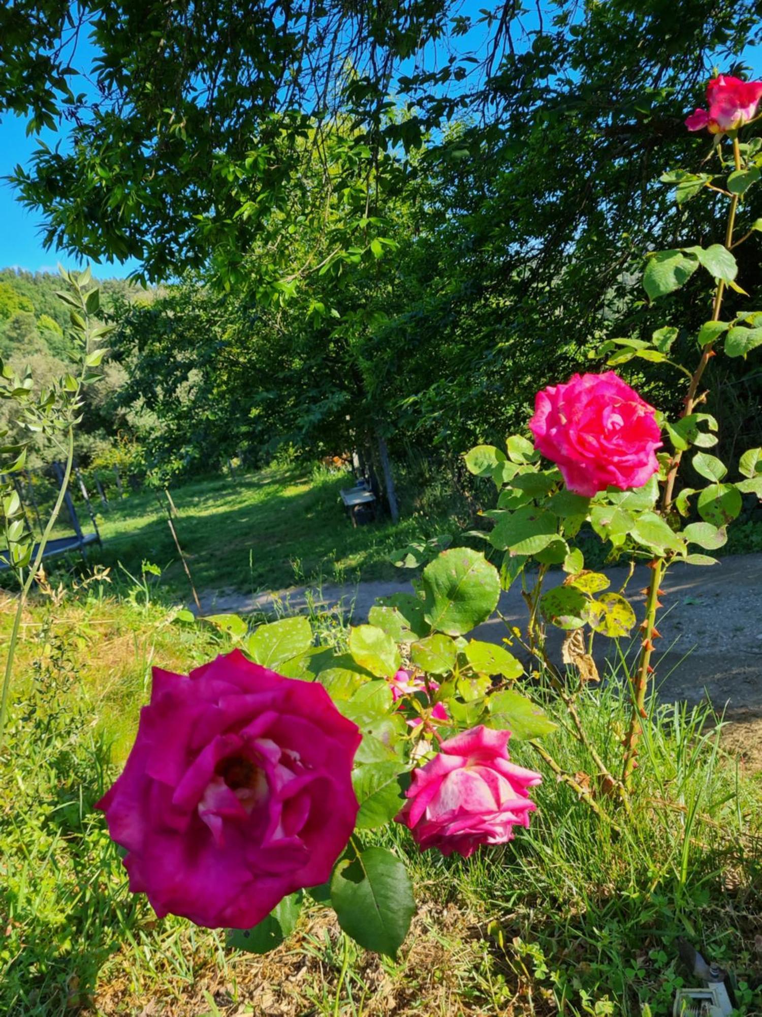 Quinta Do Paul De Baixo Hotel Guimarães Buitenkant foto