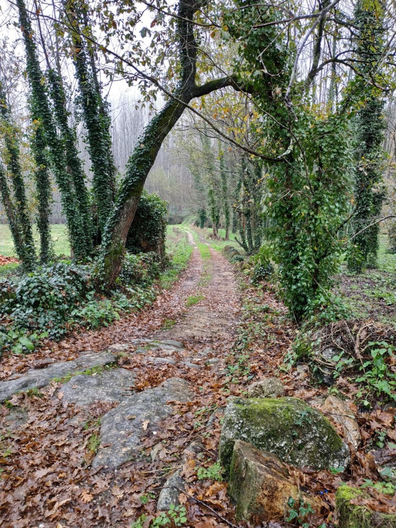 Quinta Do Paul De Baixo Hotel Guimarães Buitenkant foto